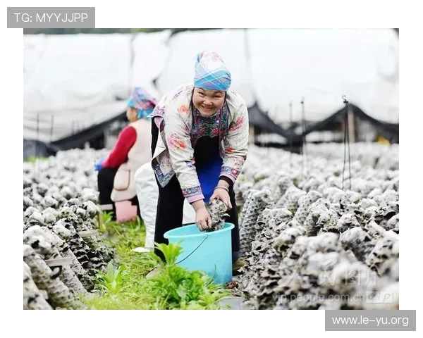 乐鱼平台官方网站用户注册流程详解及账号管理技巧全攻略
